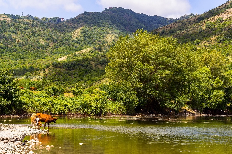 ivanovka kendi ismayiili rayonu nikitin adina kolxoz asiqbayramli golu
