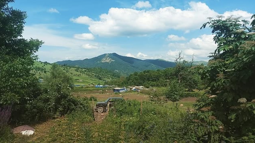 Азербайджанские натуральные сельские продукты